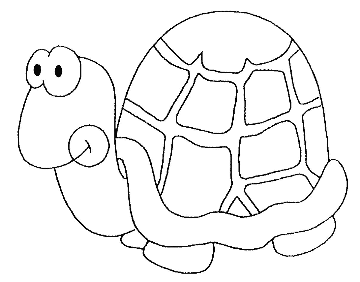 Șablon de broască țestoasă 1