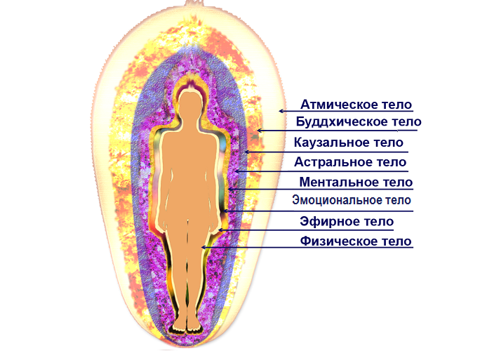 Illustration of the structure of the aura