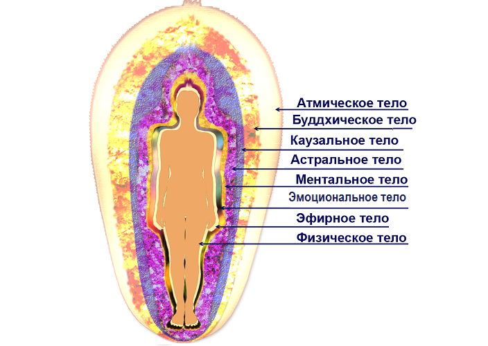 Illustration av auraens struktur