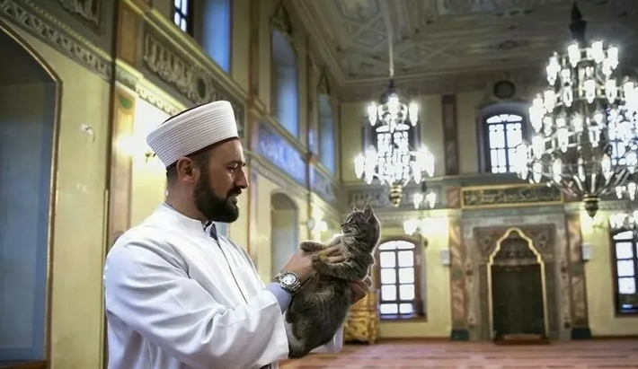 Attityd till djur i islam
