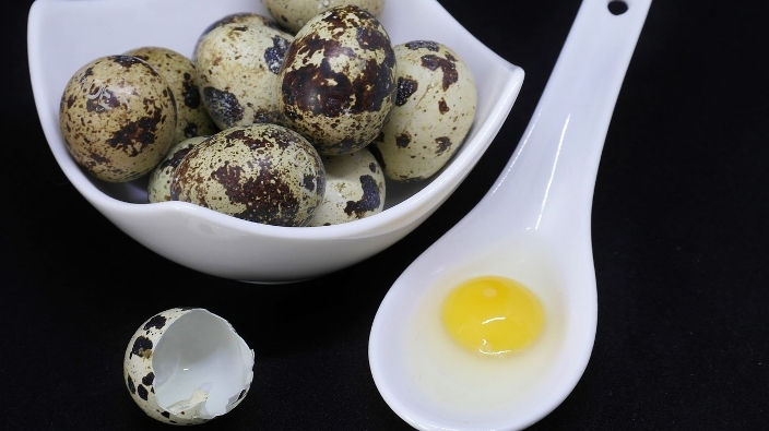 Los huevos de codorniz pueden ser comidos por personas sanas y personas con colesterol alto