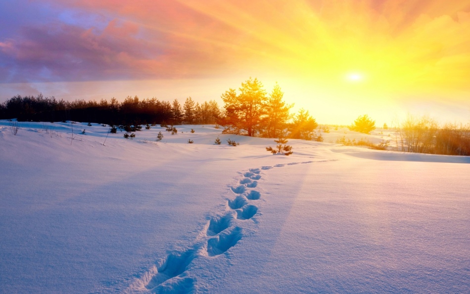 Solstice d'hiver dans le centre de la Russie