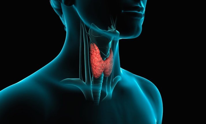Thyroid diseases cause a cough, sore throat