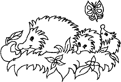 Hedgehog family: drawing for sketching No. 3