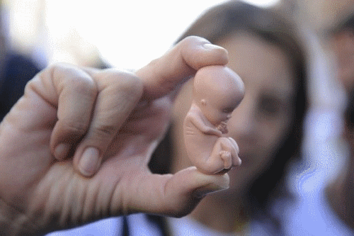 Первичный герпес на губах во время первого триместра беременности может стать причиной ее прерывания.