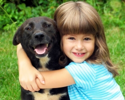 Quel chien obtenir pour un enfant dans un appartement, dans une maison privée? Les meilleures races de chiens pour enfants