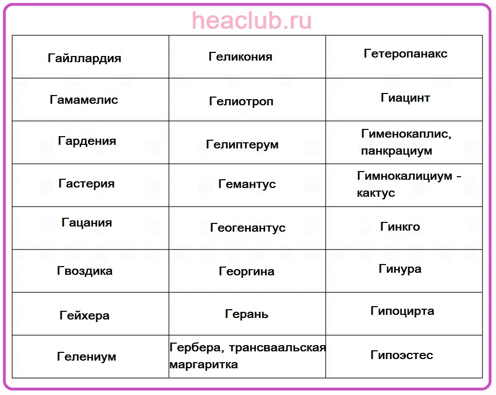 Names of flowers on g Table