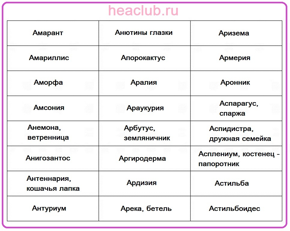 Names of flowers on a table