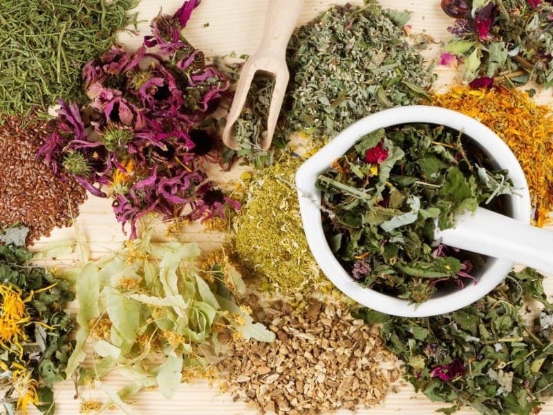 Herbs from edema