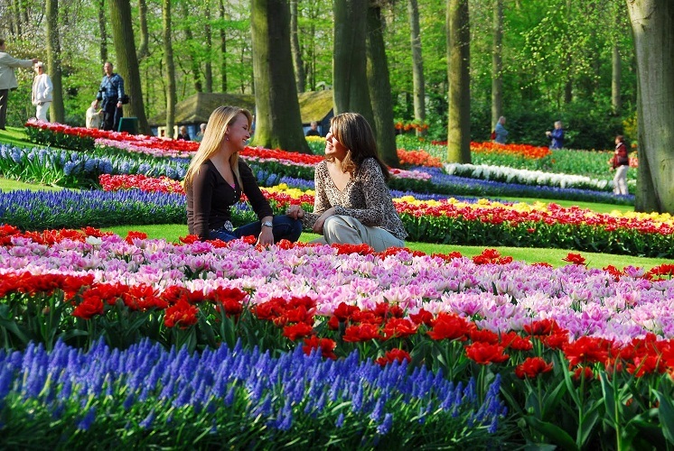 The park is just a huge number of all kinds of tulips