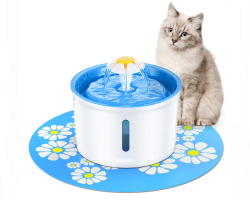 Do-it-yourself Fountain pre domáce mačky a psy: pokyny, videá, recenzie. Automatický a šikovný tank-lamp na batériách: Kúpte si v internetovom obchode Aliexpress