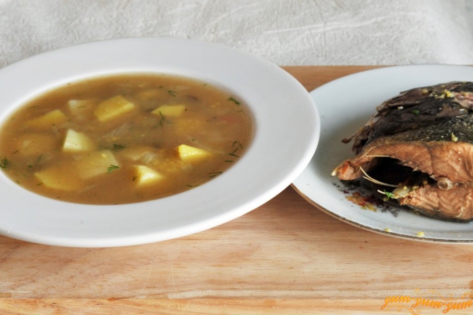 Fish broth soup for a child