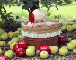 How many months can a fresh baby be given to a fresh, baked apple, compote, jelly of fresh and dried apples? Give children an apple: before meals or after? Dishes for infants up to a year from apples: Best recipes