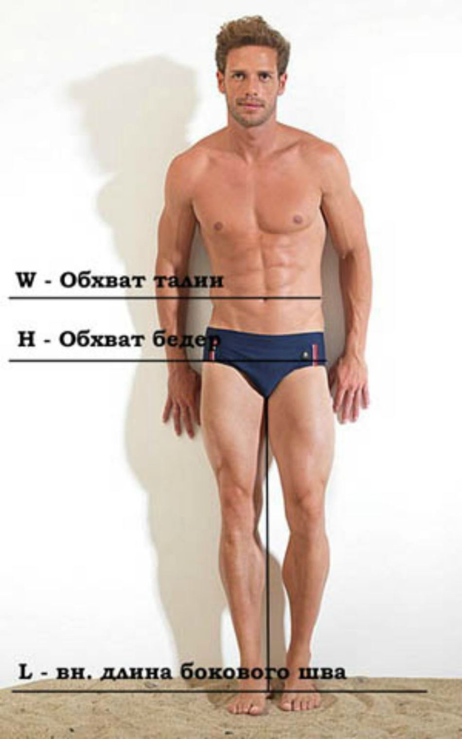соотношение талии груди и бедер у мужчин фото 8