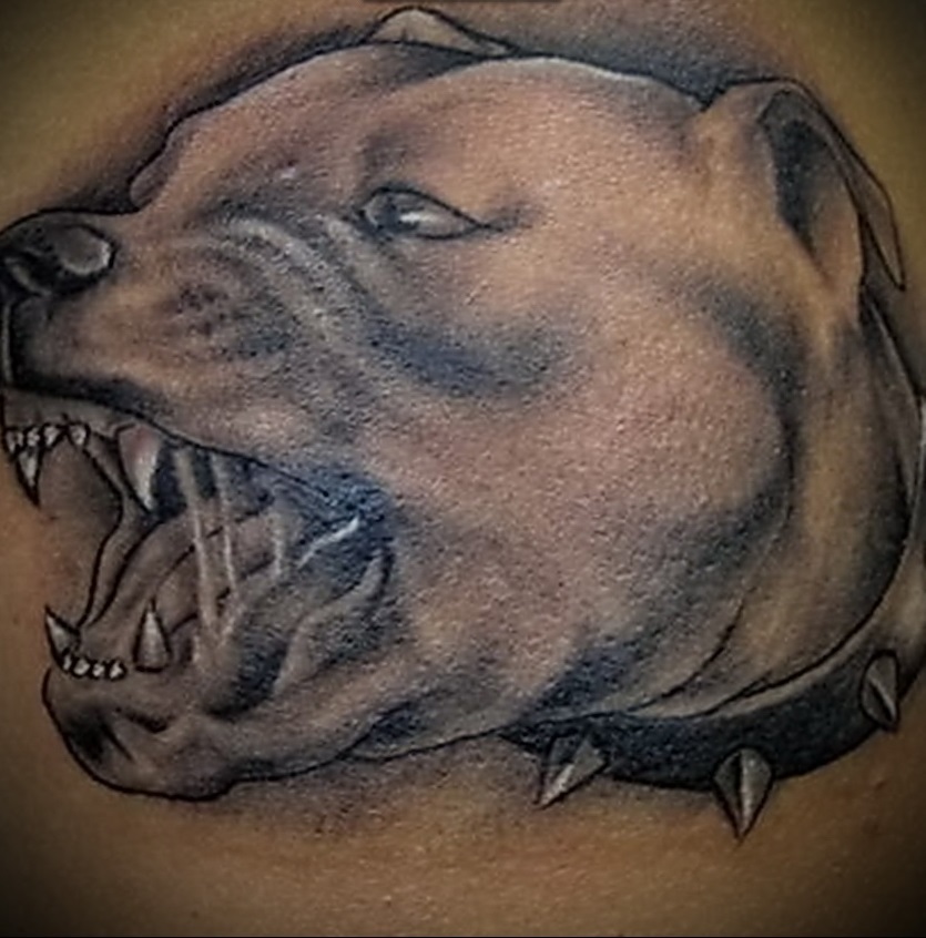 A börtönben lévő tetováló kutya azt jelzi, hogy a fogoly gúnyolódott a sejttársakkal