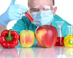 Apakah orang menyakiti orang dengan organisme yang dimodifikasi secara genetik dalam makanan: apa manfaat GMO, bahaya, contoh