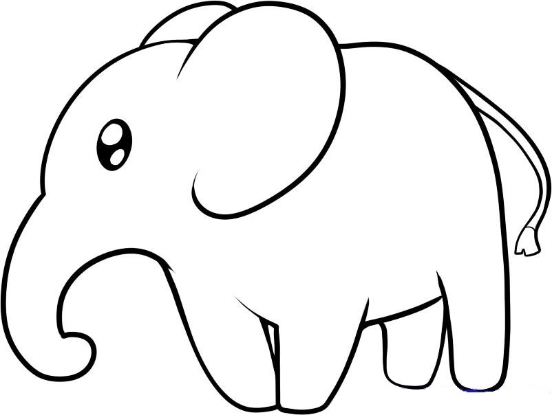 Dessin fini de l'éléphant avant de peindre