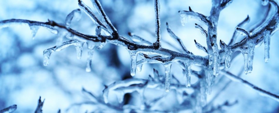 Es adalah simbol yang cerah dan tanda dalam mimpi. Bagaimana memahami arti impian es pada hari yang berbeda dalam seminggu dan waktu hari itu?