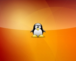 Linux ubuntu - what is it? How to install Linux Ubuntu on your computer?