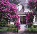 Apakah mungkin untuk menanam lilac di lokasi, di halaman, dekat rumah: tanda -tanda