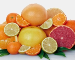 Is it possible or impossible to eat pregnant persimmon, citrus fruits, oranges, tangerines, lemon, grapefruit? Can pregnant women drink tea with lemon and ginger?