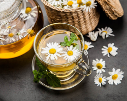 Chamomile from cough: how to brew a child, baby, adult? How to drink chamomile with coughing and do inhalations?