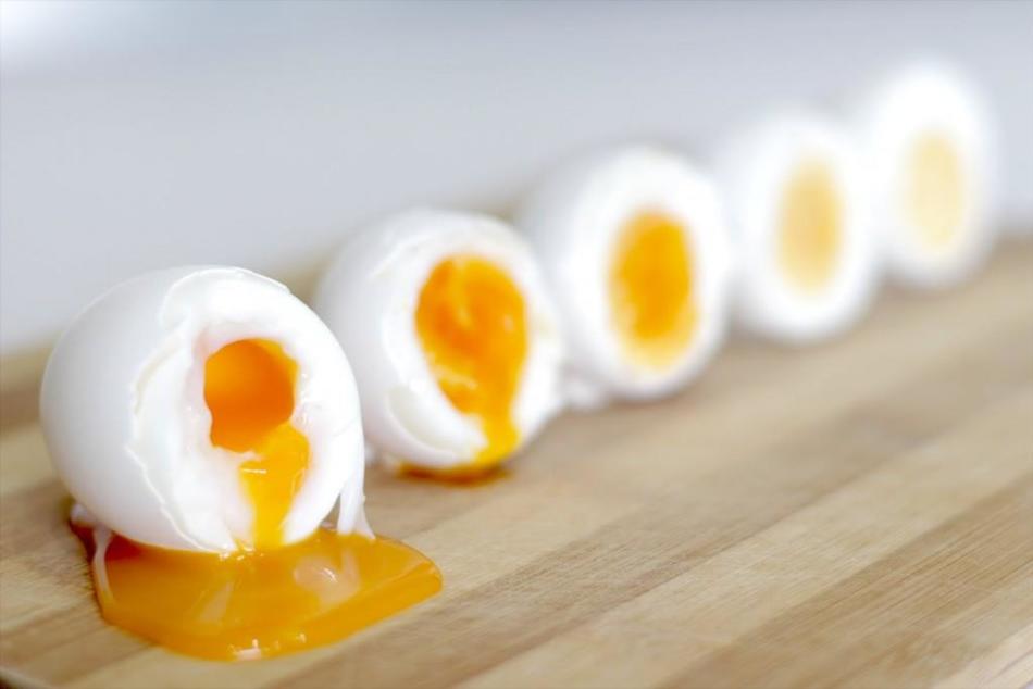 Αυγά ορτύκια του λογισμικού