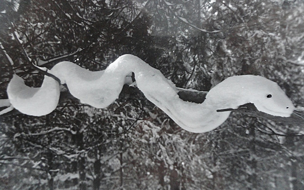 Змея из снега висит на ветке дерева