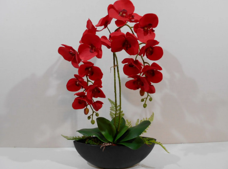 Красная орхидея
