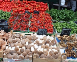 Was ist aus Pilzen zu kochen? Rezepte mit Pilzen im Ofen und Töpfe