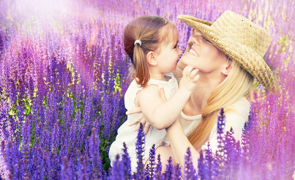 Ibu dan Anak, Lavender