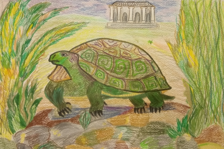 Детские рисунки черепахи, пример 6