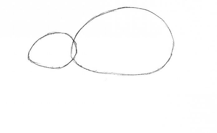 Kami menggambar dua lingkaran