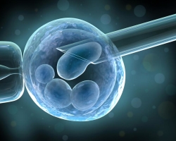What is the essence of IVF? Indications for the use of extracurporeal fertilization?