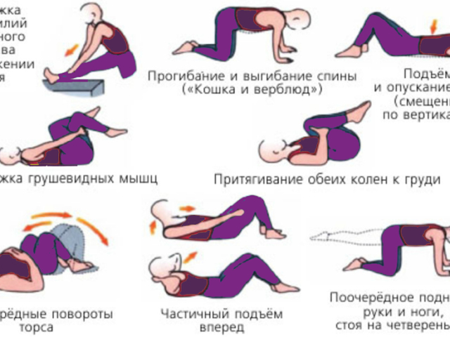 Exercises for the treatment of hemorrhoids - what physical exercises can be done?