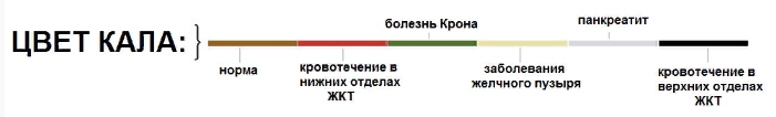 Цвят на изпражненията