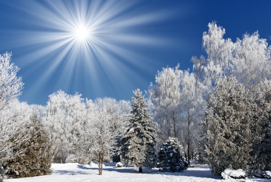 Invierno cálido según las señales populares