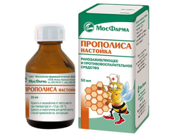 Propolis tincture - instructions for use