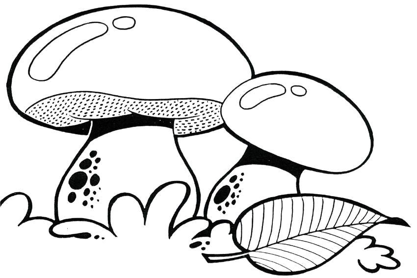Шаблон грибов