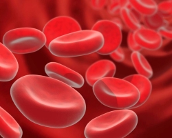 What is the level of hemoglobin? How to raise or reduce hemoglobin in the blood? Hemoglobin norm - table