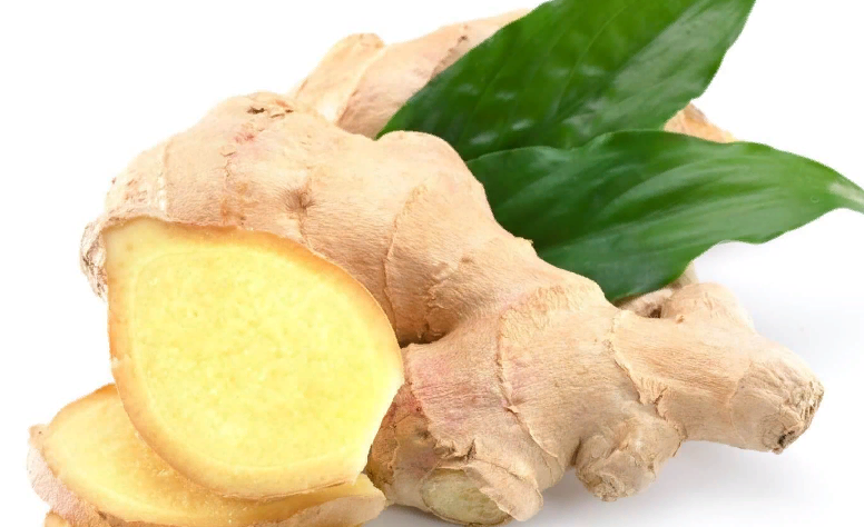 Ginger - natural antibiotic