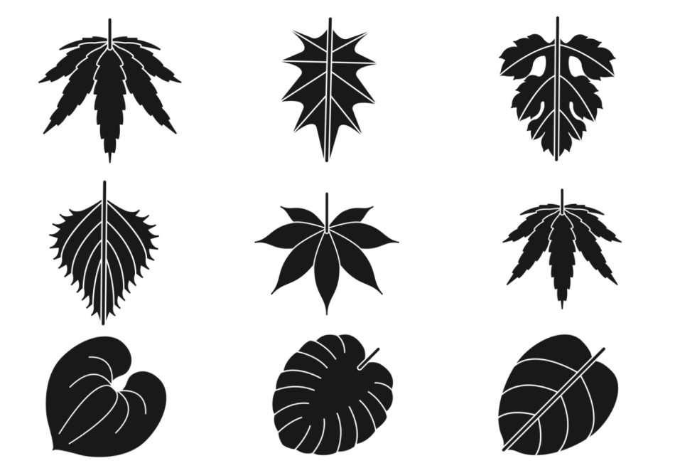 You can arrange different leaves in one composition