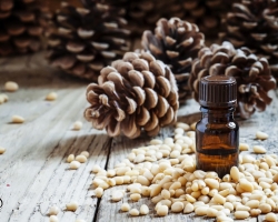 Cedar essential oils - magical properties for harmonizing life, protecting the aura, protecting against evil spirits, strengthening magical rituals for baggiation, improving love relationships