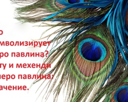 Что символизирует перо павлина? Тату и мехенди – перо павлина: значение. Можно ли дома держать, дарить, найти павлиньи перья: приметы. Как использовать павлиньи перья в интерьере, украшениях: идеи, фото