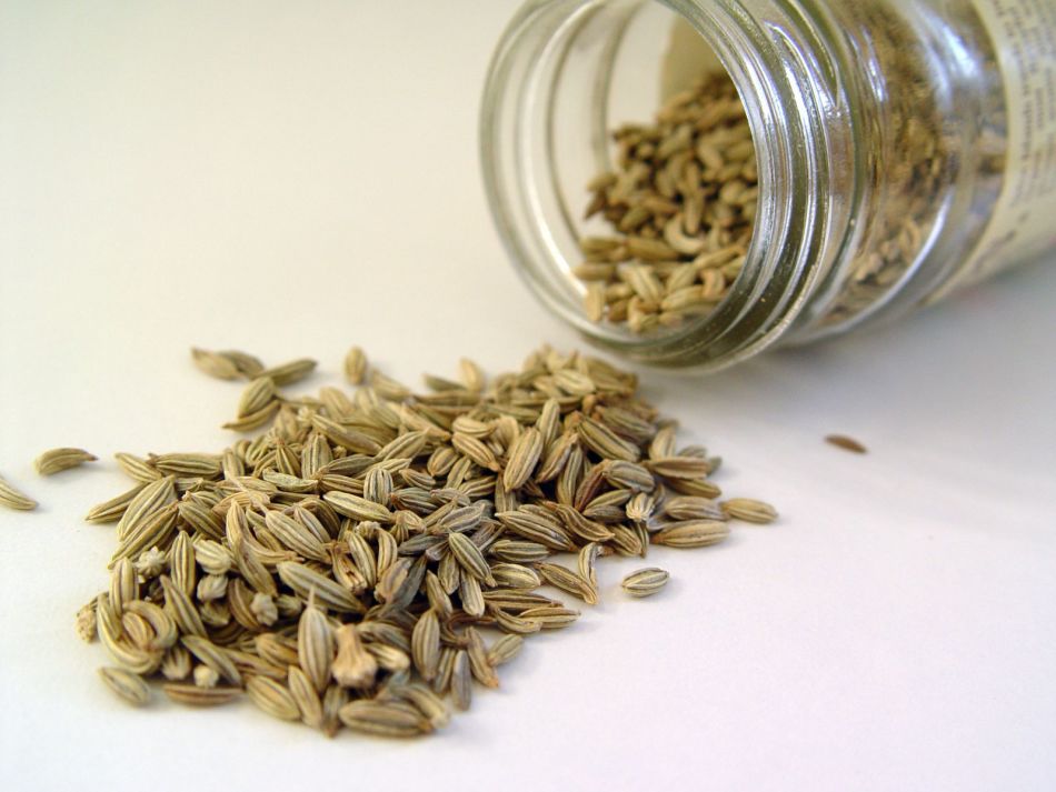 Dill seeds with cystitis