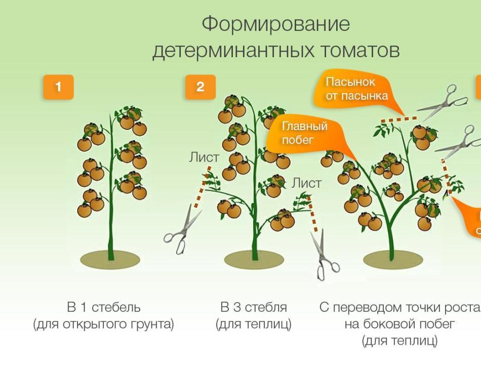 Формирование в 3 ствола