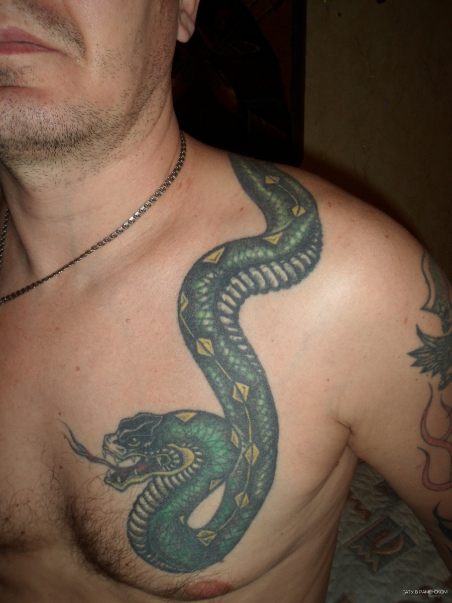 Тату змея на плече мужские