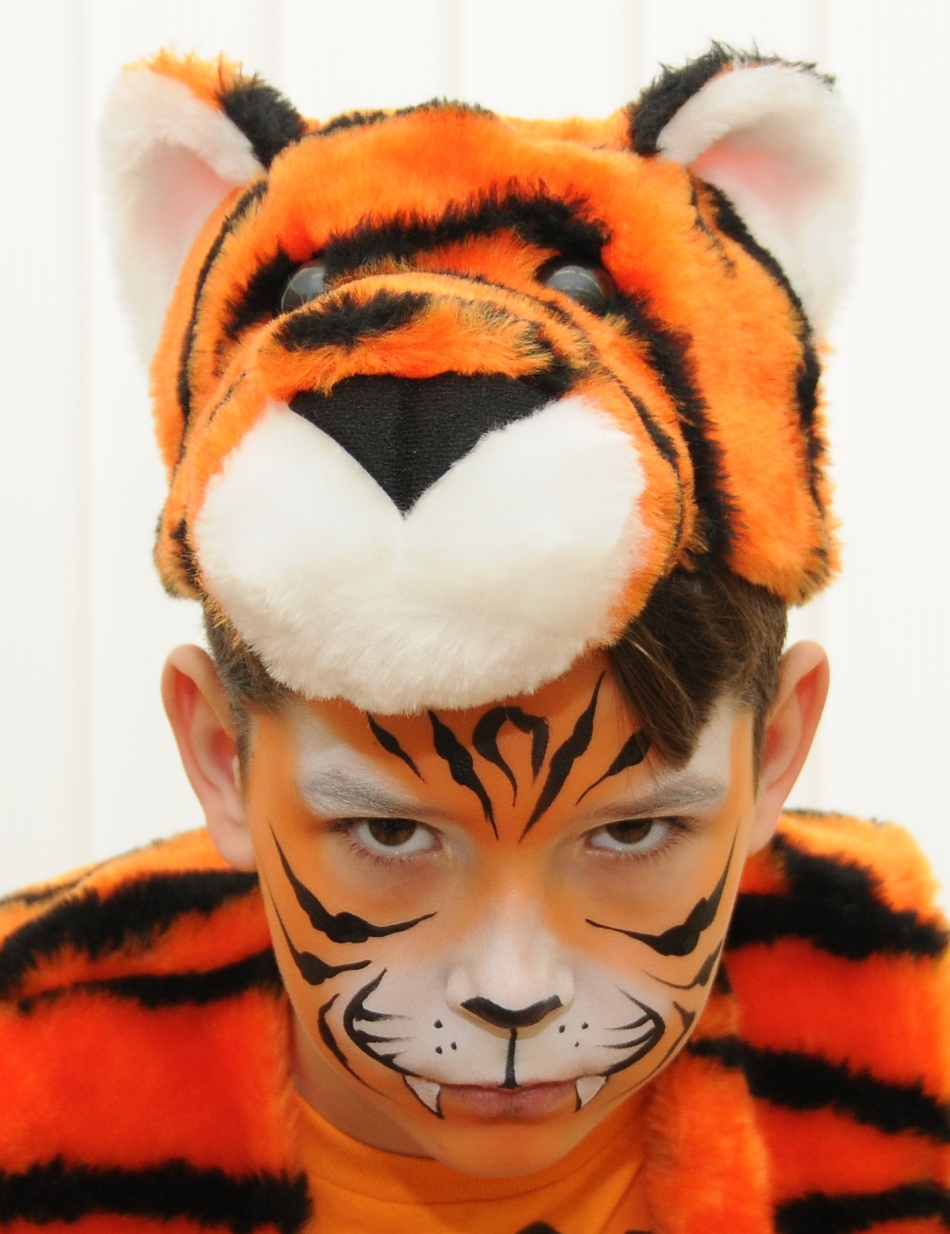 Аквагрим тигра на лице