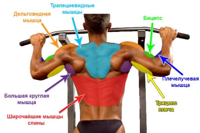 Many muscles are involved