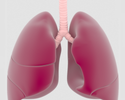 Ami káros a tüdőre: 8 fő tényező. Káros -e a tüdő CT, x -try, fluorográfia elvégzése?